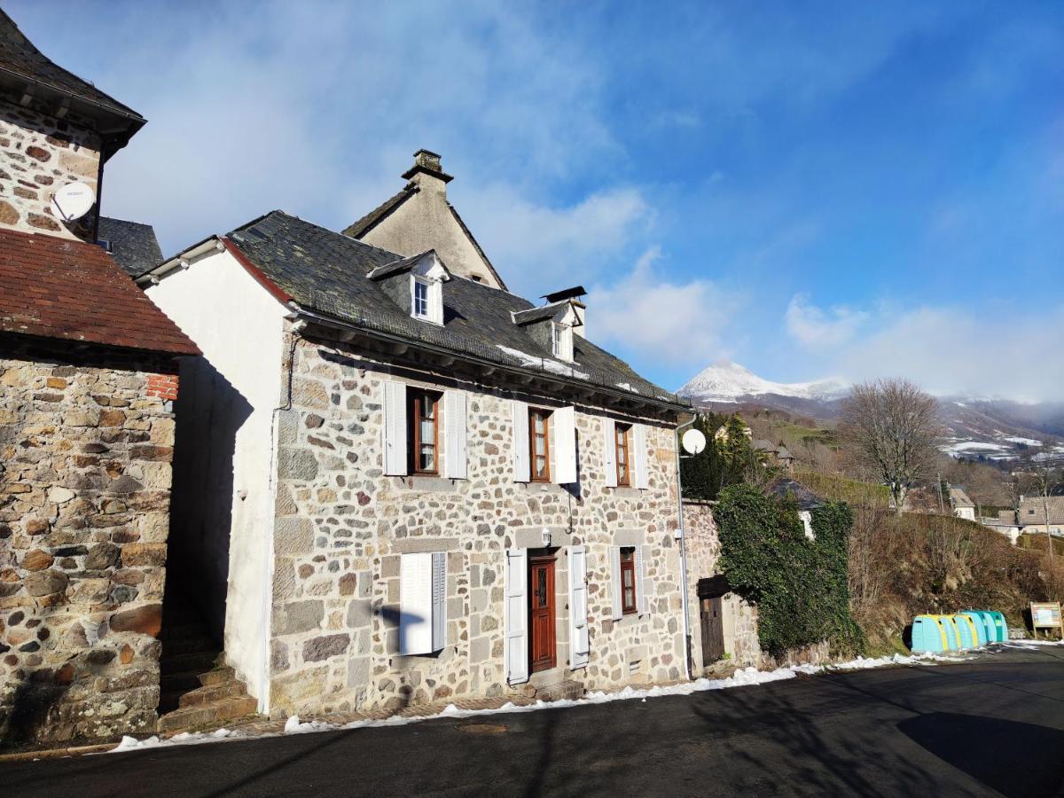 Maison Familiale Et Authentique Saint-Jacques-des-Blats Eksteriør billede